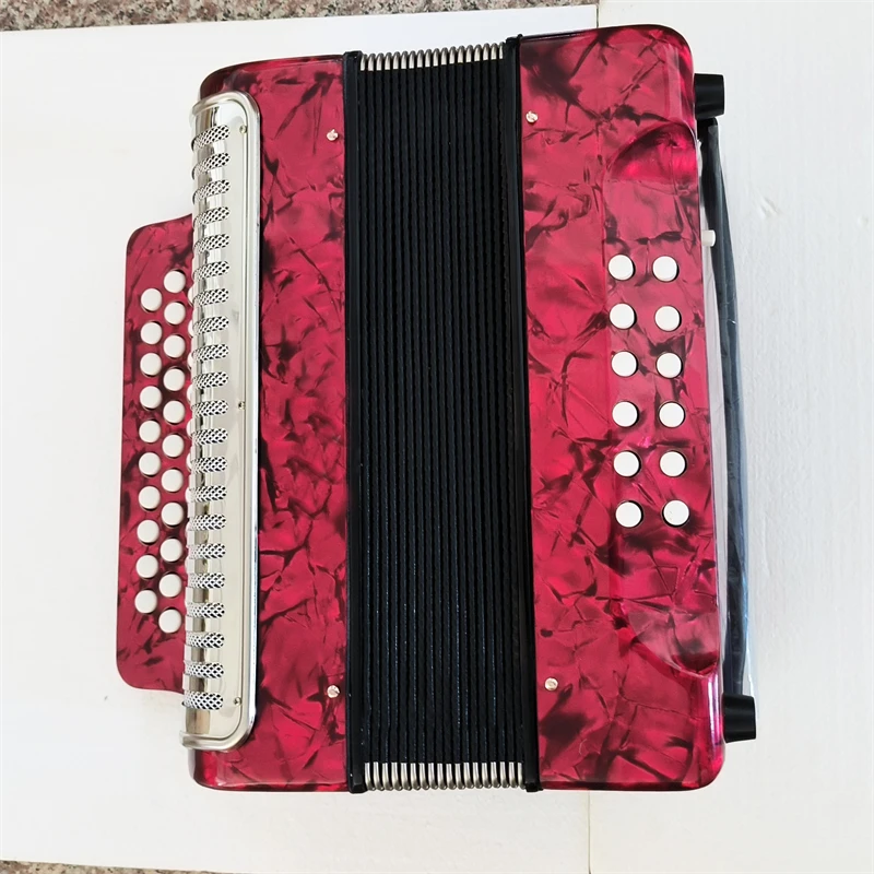 31 клавиша 12 басов кнопка гармошка баяны с ABS Чехол