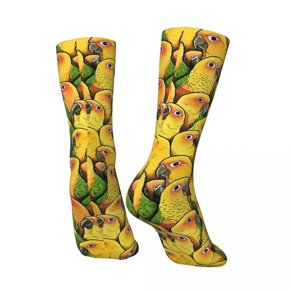 Jenday ConuresJenday Conures Adult Socks,Unisex socks,men Socks women Socks