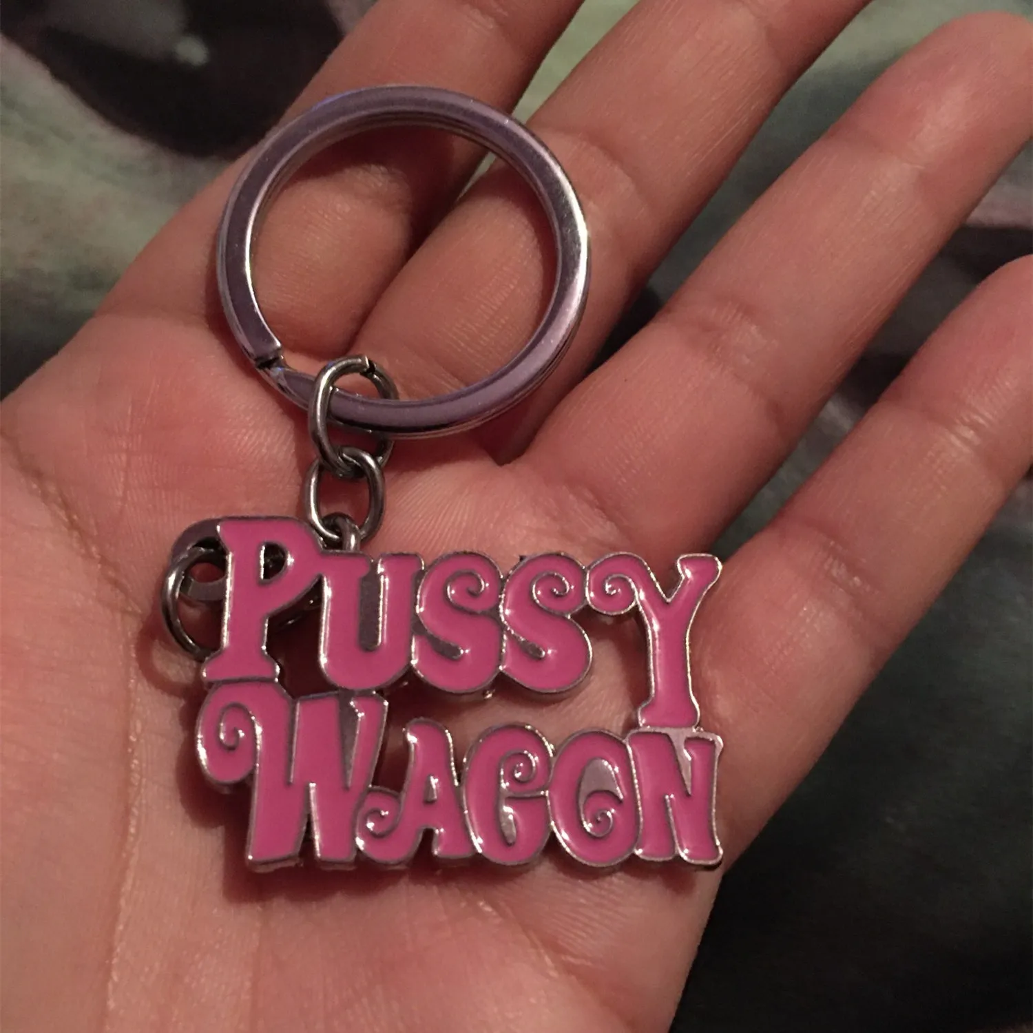 1PC Сплав Модный фильм серии "Убить Билла" Ключница "PUSSY WAGON" Буквенные подвески Аксессуары для женщин и мужчин Подарочные брелоки.
