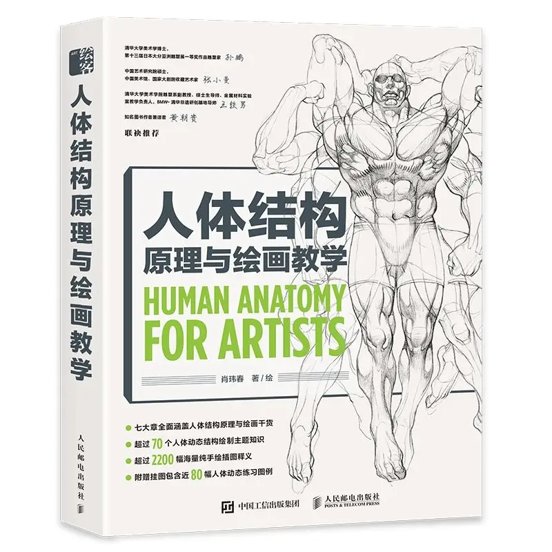 Principles of Human Body Structure and Painting Teaching Art Drawing Book Human Body Structure Basic Tutorial
