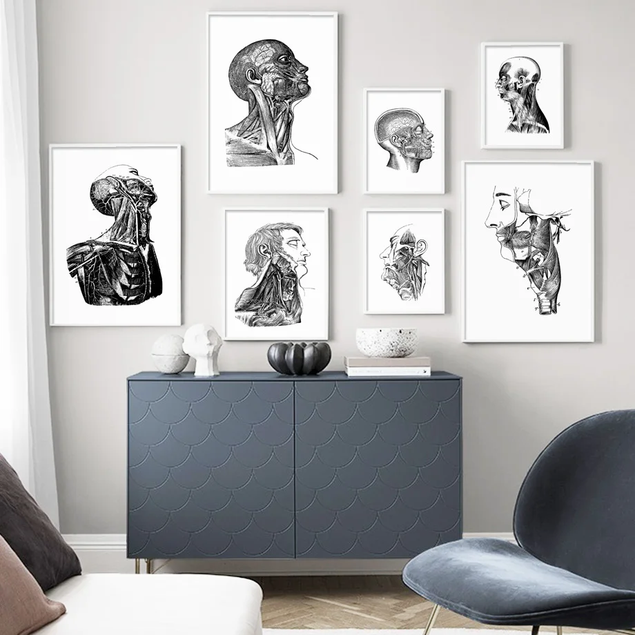 Настенная живопись на холсте анатомия человеческие скелетные мышцы позвоночник