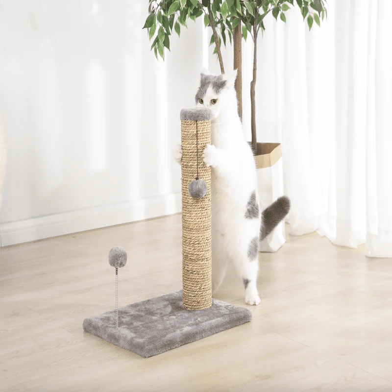 

Seagrass Scratch and Play Post, Gray, 20"