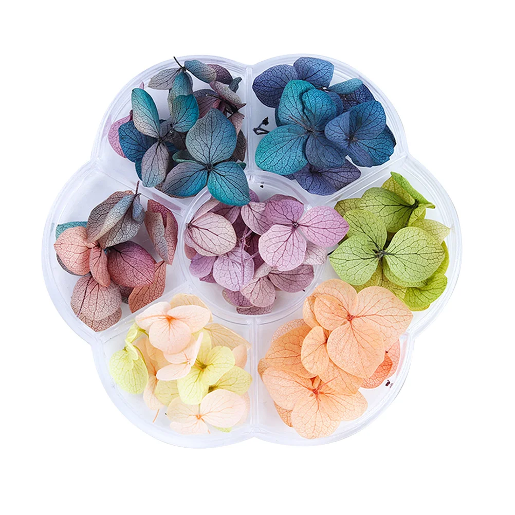 

1 Box of 50pcs Nail Dried Flowers Preserved Gradient Maple Leaf Nail Tips Sticker Manicure Decoration (Style 2)