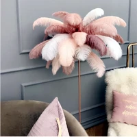 15 60cm color natural ostrich feather 10pcs wedding party scene decoration clothing accessories home feather decoration ornament