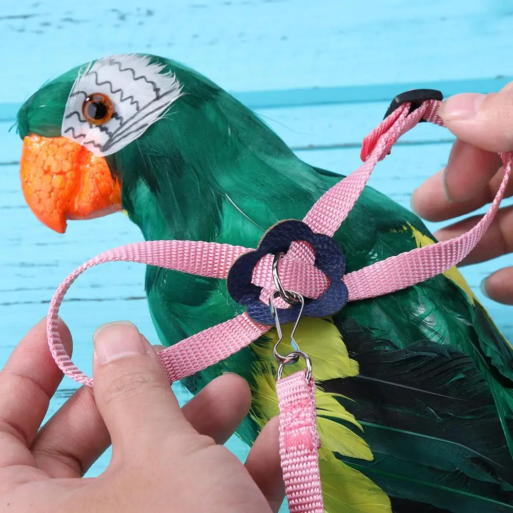 

Parrot Bird Auto Traction Rope Puppy Retractable Leash Pet Training Walking Accessories for Small Pet Supplies