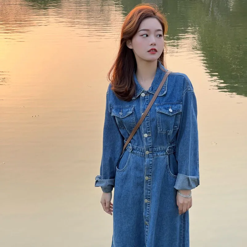 Осенняя одежда для женщин 2024 новое французское платье High Sense Demin длинная юбка