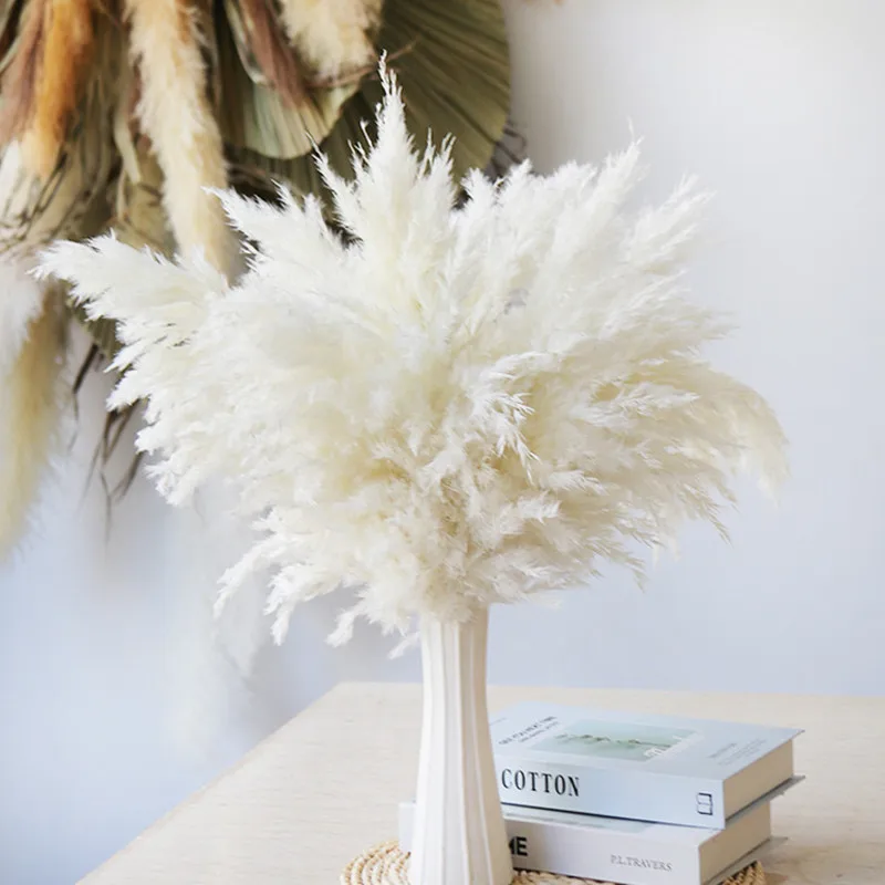 

Small Reed Immortal Dried Flower Bouquet Ornaments Pampas Grass Home Living Room Christmas Eve Decoration DIY Collocation