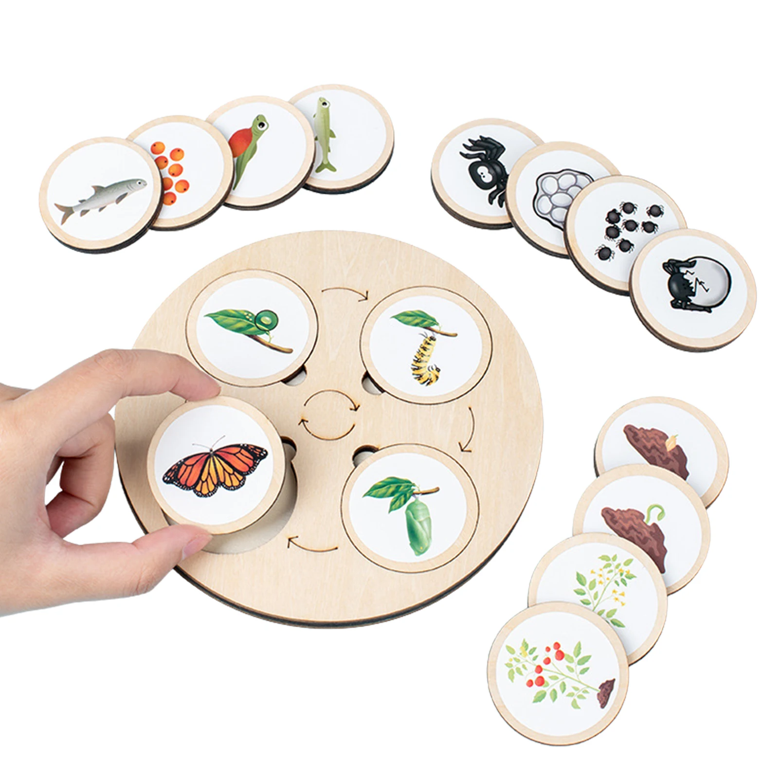 

Life Cycle Puzzle Life Cycle Puzzle Kit Of Animals Plants And Insect Toddler Puzzle Development Toys Early Educational Toy For 2