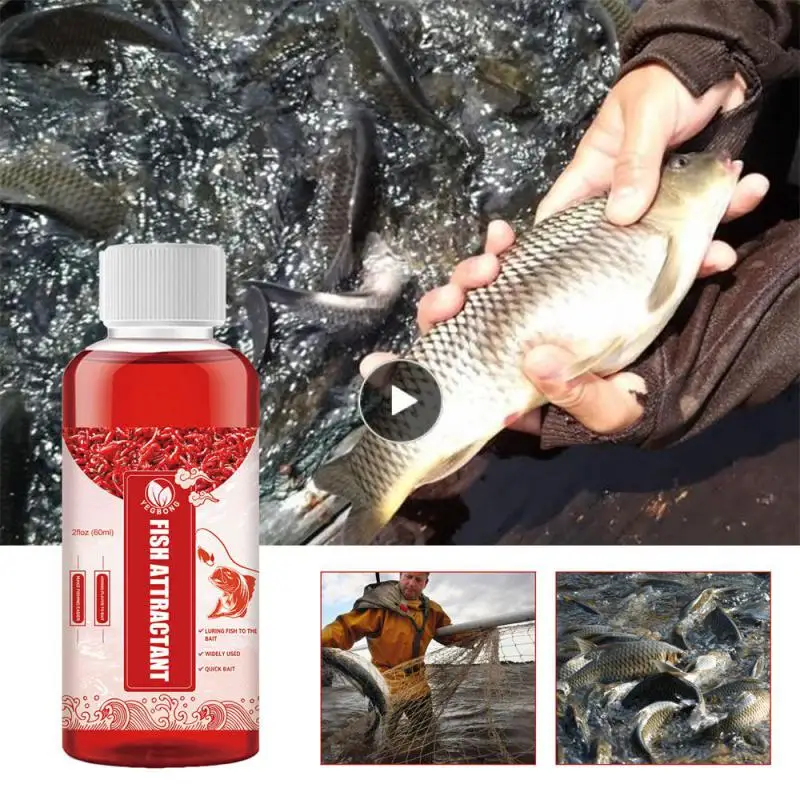 

Packaging Size 9 3.2cm Fish Bait Additives Easy To Bait Three Styles Available Fishing Bait Persistent Effects Capacity 60ml