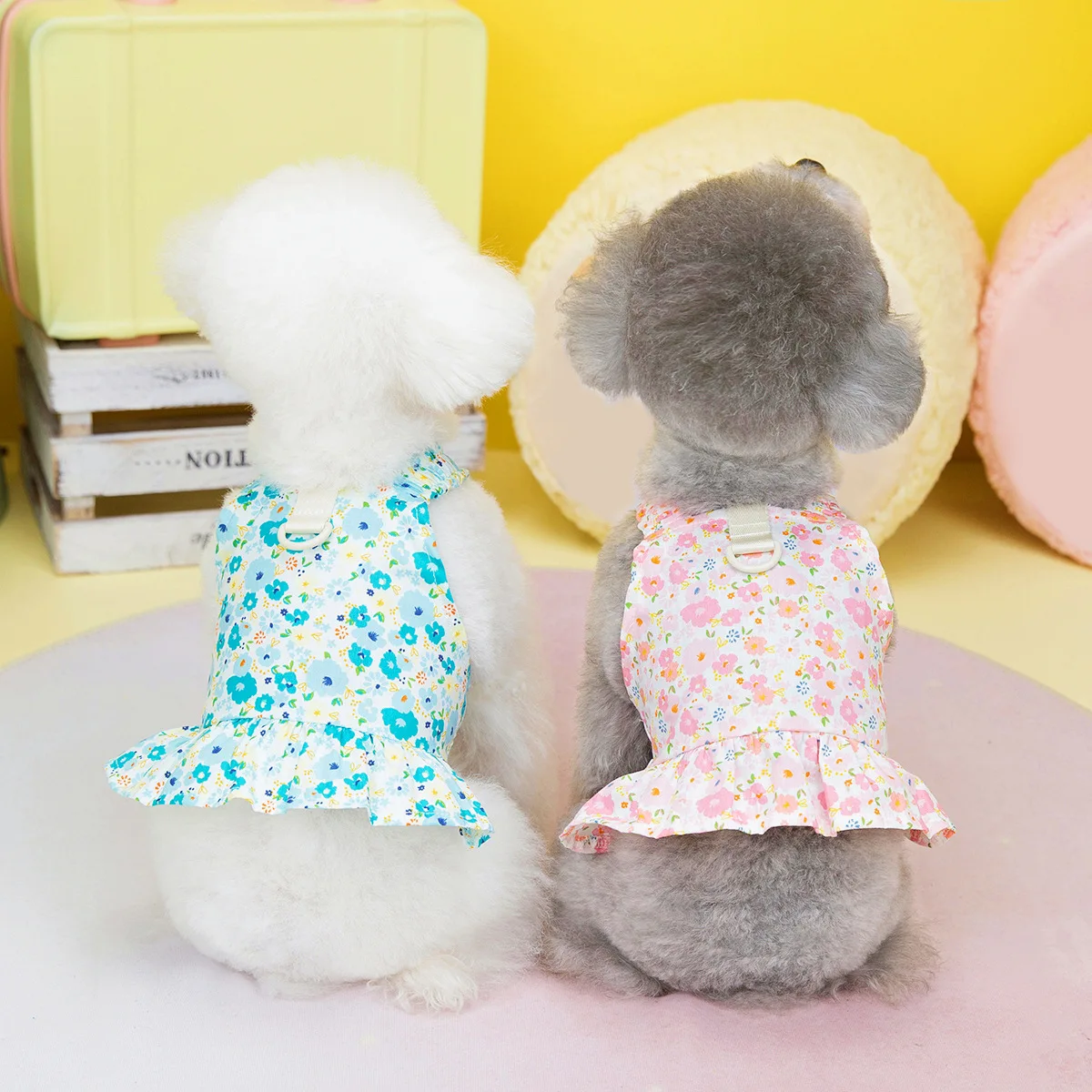 

2023 Spring and Summer Dog Clothes Pet Clothing Teddy Chenery Bichon Applicable Short Board Chest and Back Skirt Wholesale 강아지옷