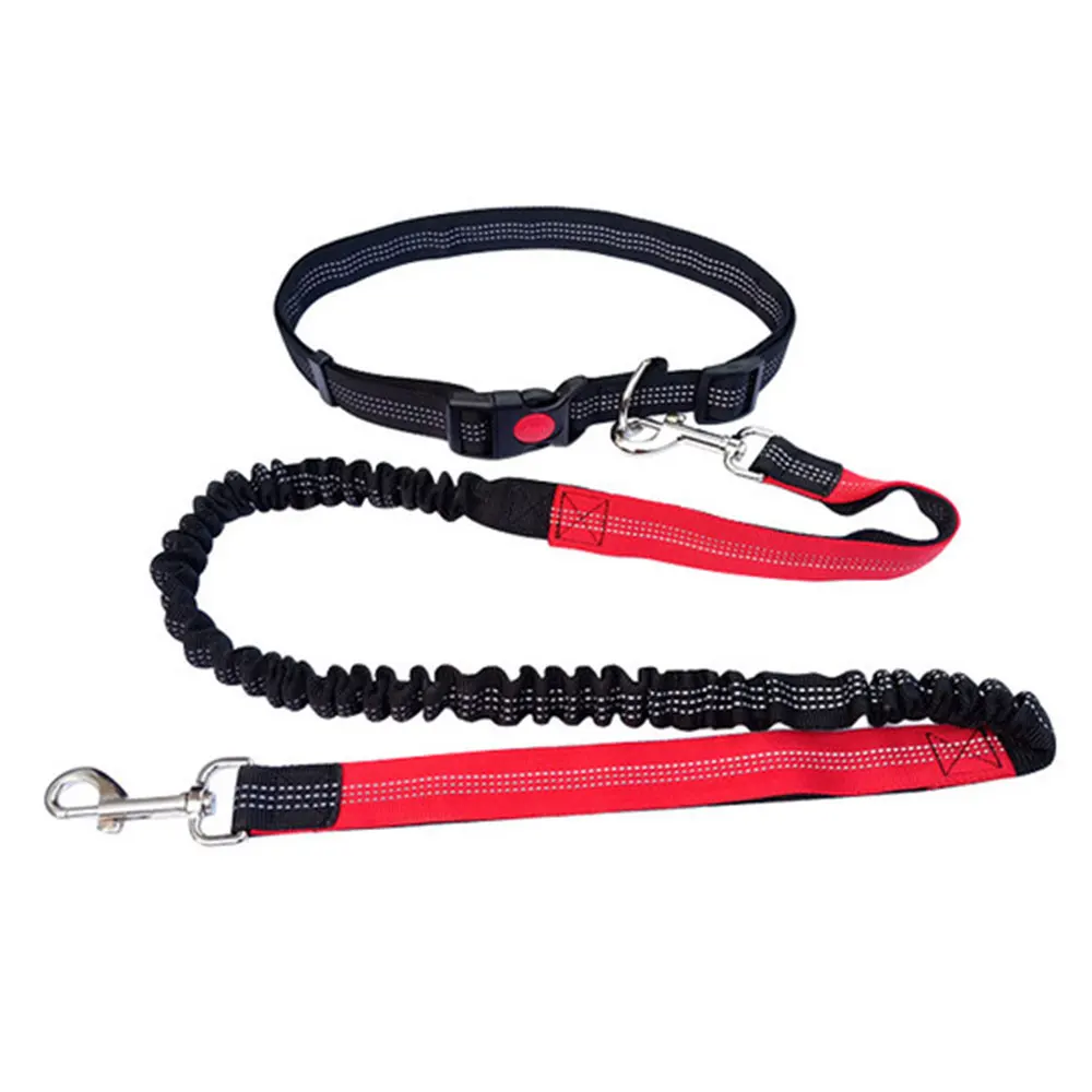 

Durable Dog Leash Dog Belt Rope Dogs Leashes Strap Elastic Rope Nylon 120/150/200/300cm Elastic Leash Pet Traction Belt