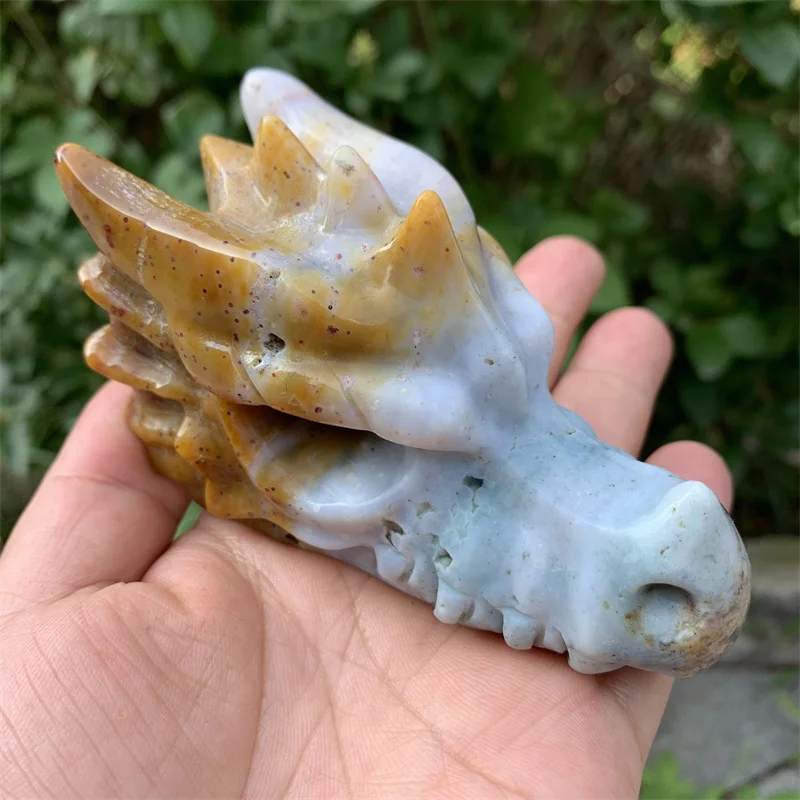 

Natural Ocean Jasper Dragon Skulls Figurine Stone Carved Craft Decoration Healing Quartz Crystal Reiki Statue Witchcraft 1pcs