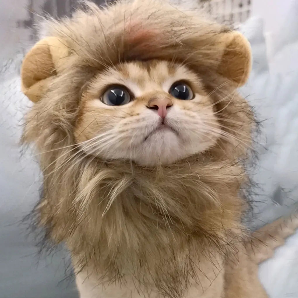 Портативный и удобный парик из полиэстера с львиной гривой для кошек портативный