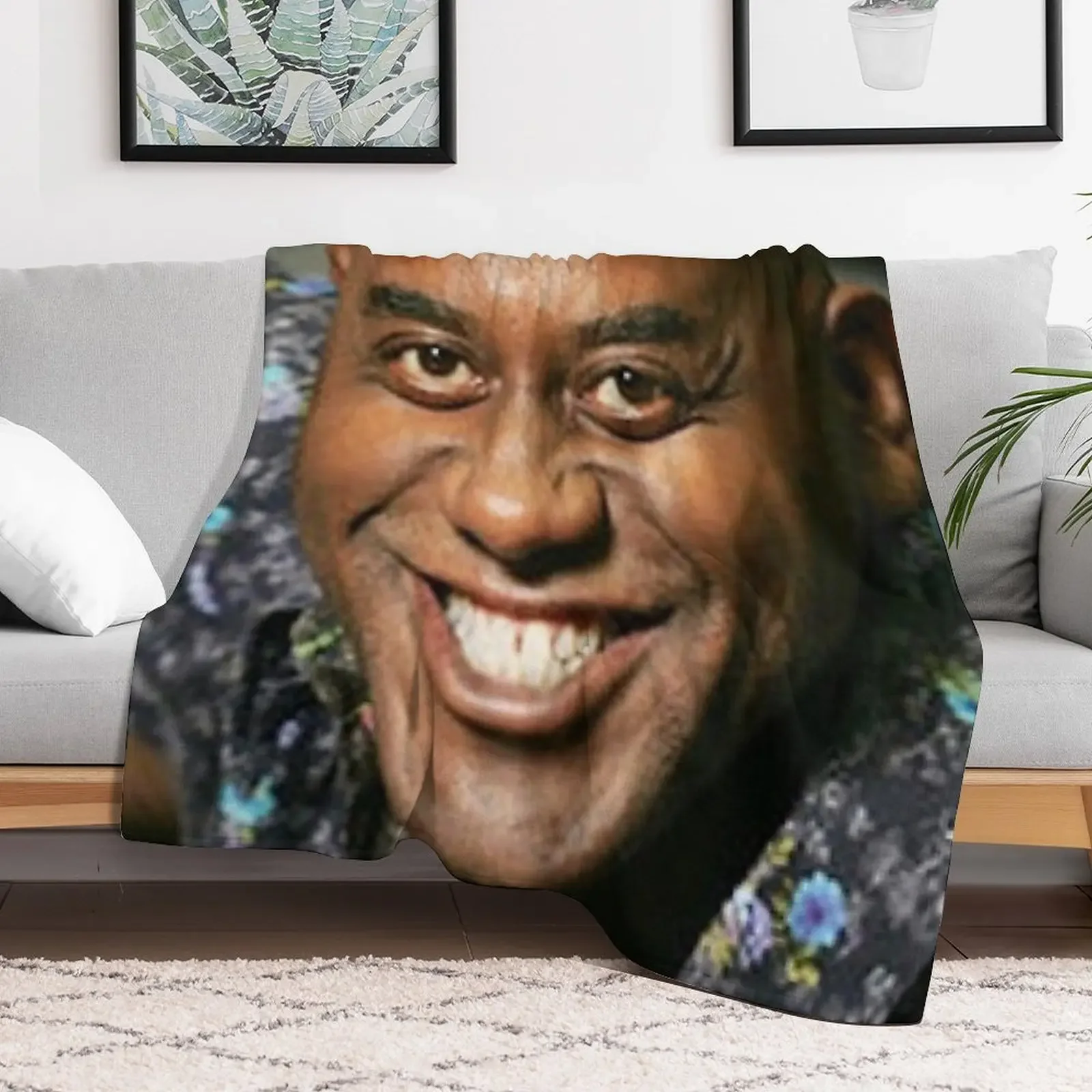 Одеяло Ainsley Harriott детские волосатые одеяла на заказ