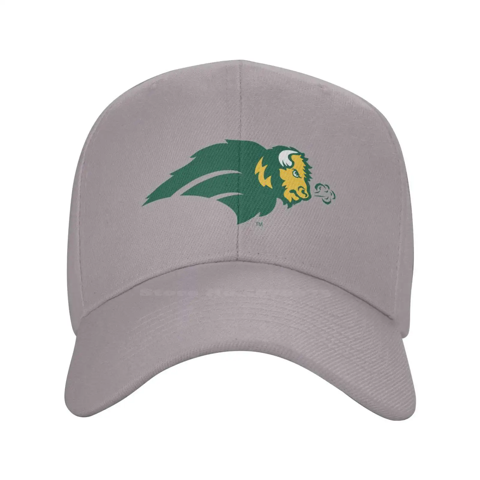 

North Dakota State Bison Logo Fashion quality Denim cap Knitted hat Baseball cap