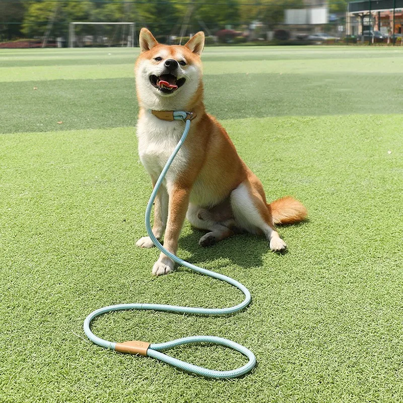 

Dog Training Leash Pet Nylon Rope Lead Small Medium Large Dogs Traction Ropes Walking Running Dog Leashes Pet Supplies