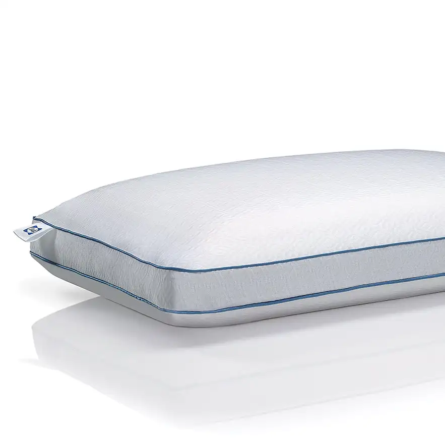 

Chill Cooling Memory Foam Bed Pillow with Support Gel, Standard Size