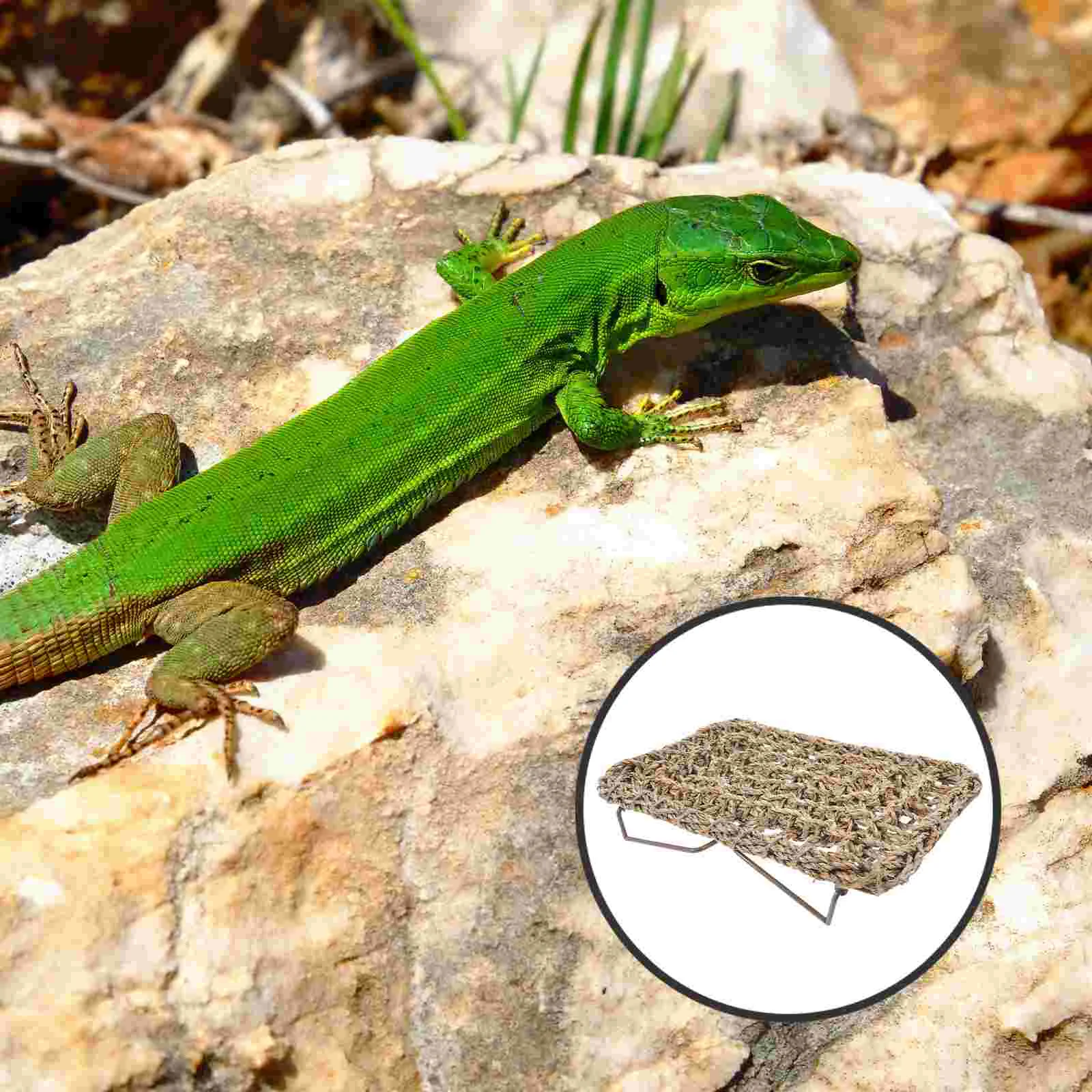 Гамак с бородатым драконом тканая кровать для ползания домашних животных