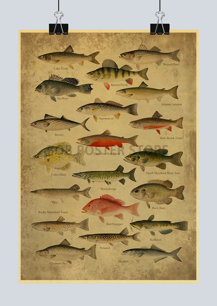 

Винтажная картина «Океанская рыба» lanxihaibao