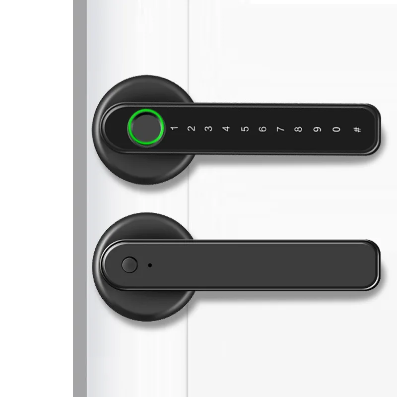 

Intelligent Household Appliance Anti-theft Door Lock Biological Fingerprint Lock Intelligent Electric lock Graffiti
