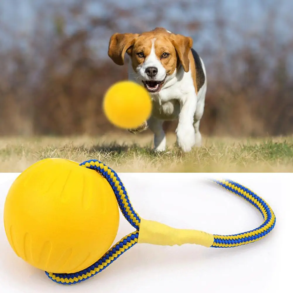 

Pet Ball Toy With Rope Interactive Dog Toys Pet Dog Training Chew Toys Tooth Cleaning Indestructible Solid Core Pet Supplies