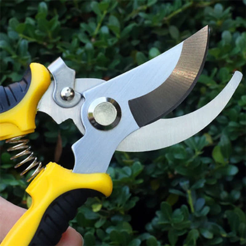Professional Pruner Garden Scissors - Sharp Bypass Pruning Shears, Secateurs, and Hand Clippers for Garden and Beak Scissors