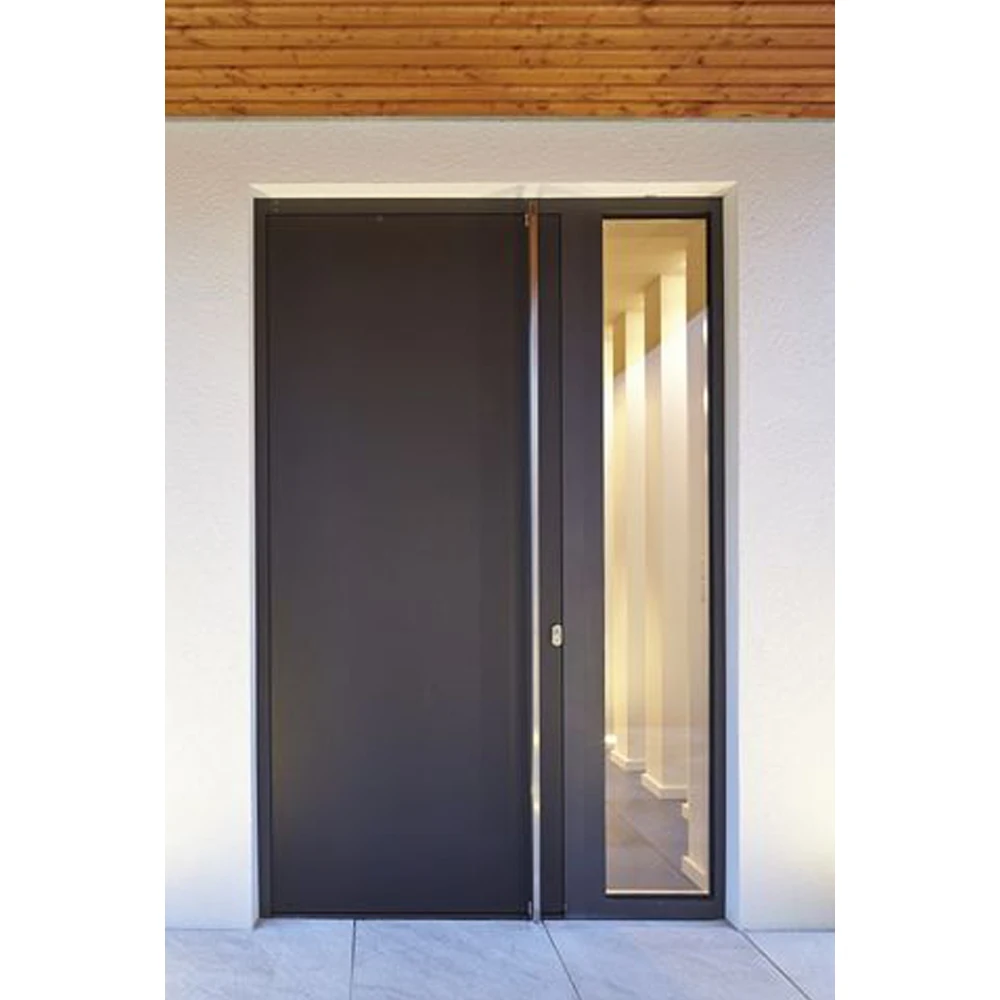 Металлическая металлическая входная дверь дверь входная металлическая doorhan
