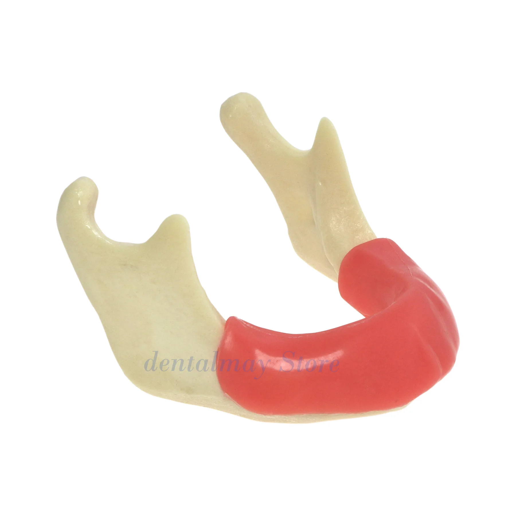 Модель нижнего имплантата с костной имитацией десен для практики сверления M2023