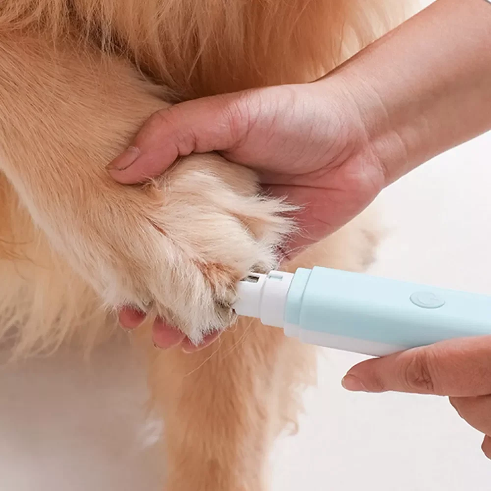 

2 in 1 Pet Hair Clipper Self-cleaning Comb Cat Remove Floating Hair Nail Grinder Recharge Haircut For Dogs Cat