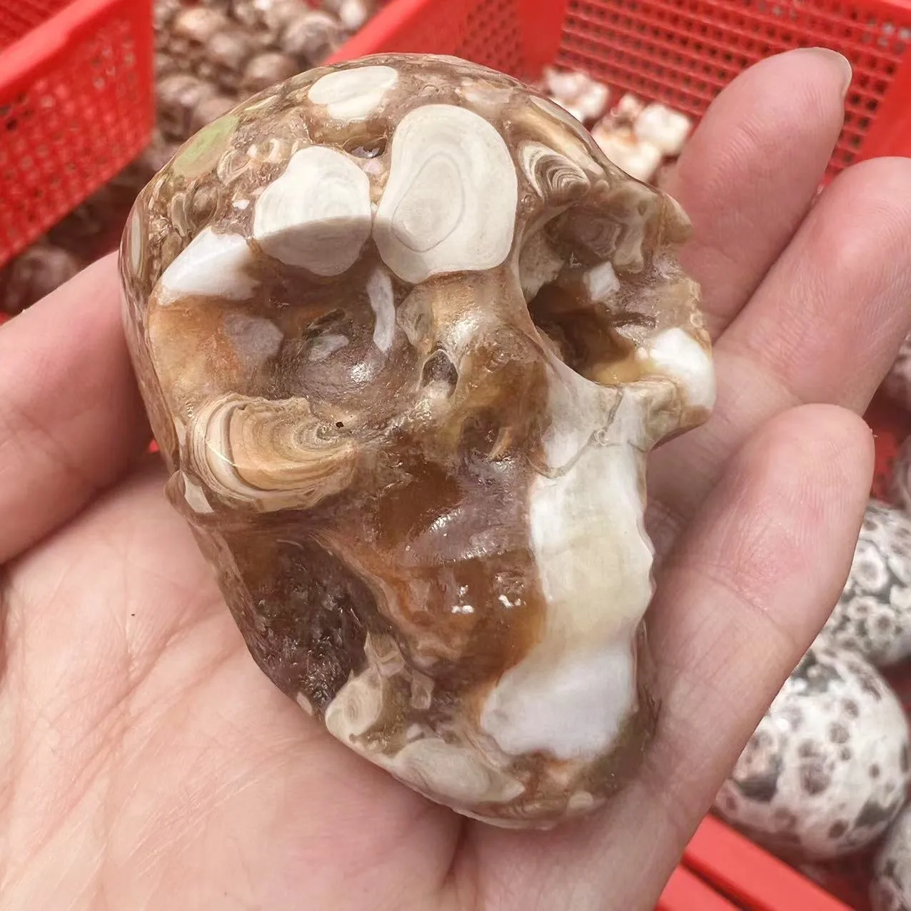 

Хрустальный Агат, Череп, кварц, Хрустальная скульптура, Натуральный Череп рейки, драгоценный камень, домашняя Коллекционная фотография