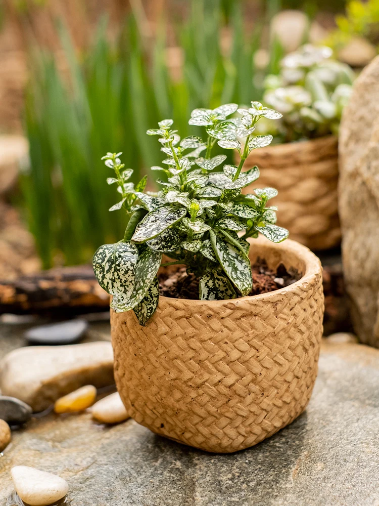 Cement Flower Pots For Indoor Planters Retro Style Succulent Flowerpots Brown Color Home Garden Decoration Deaktop Ornaments