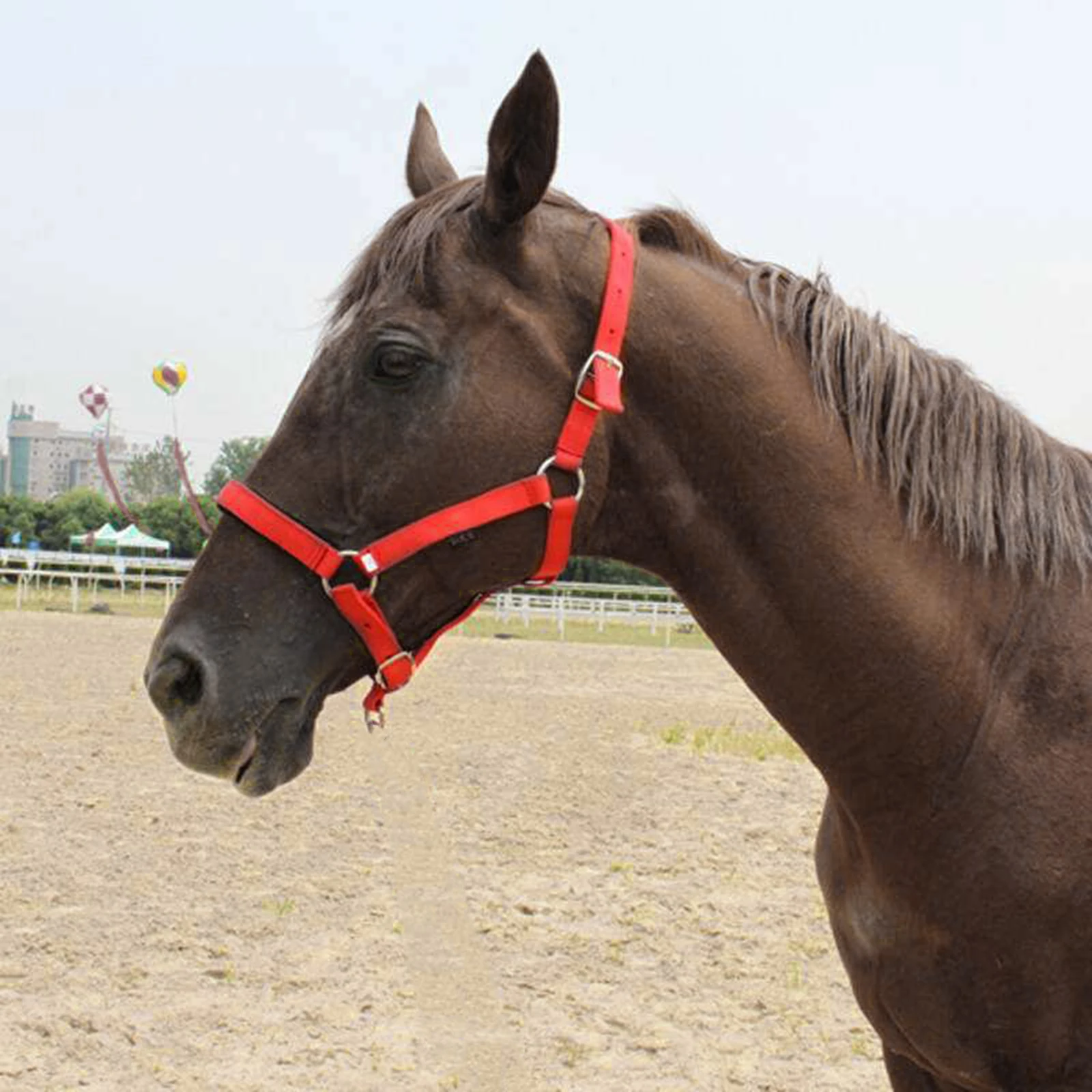

Strip Horse Rope Nylon Head Collar Outdoors Training Applies Lead Rope Portable 3 Stripe About 250g/set Adjustable