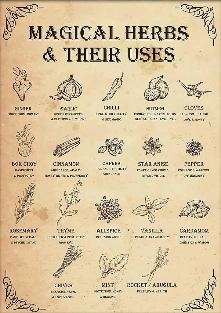 

Magical Herbs And Their Uses Witchy Poster Kitchen Witch Wall Art Vintage Witchery Witches Magic Knowledge Tin Signs