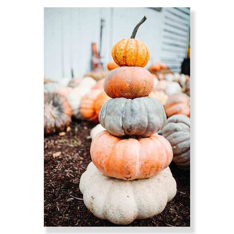 

Живопись "Осенний деревенский пейзаж" AliPaint