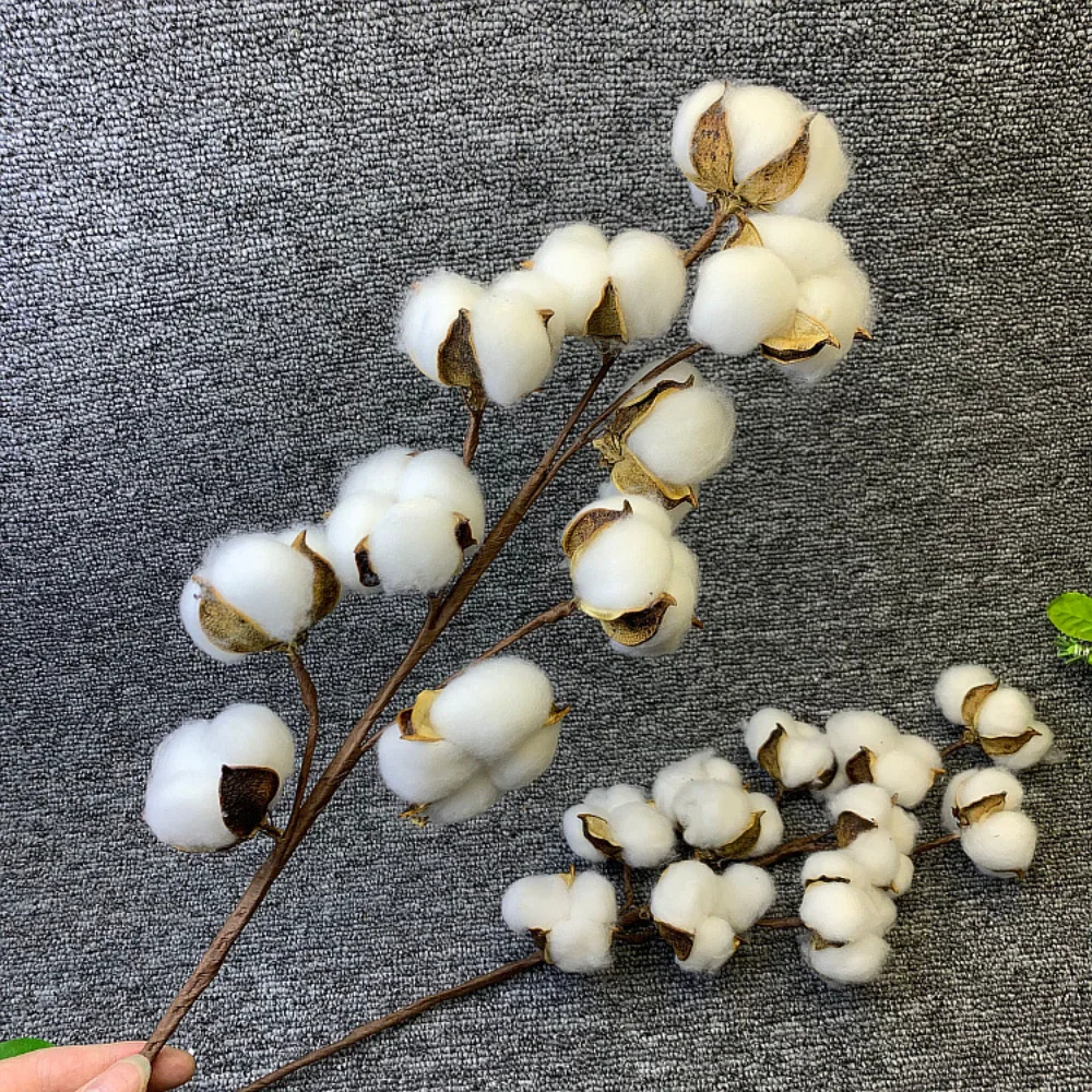 

10head Dried Cotton Flowers Decorative Simulation White Home Artificial Flower Bridesmaid Bouquet Decor Fake White Flower
