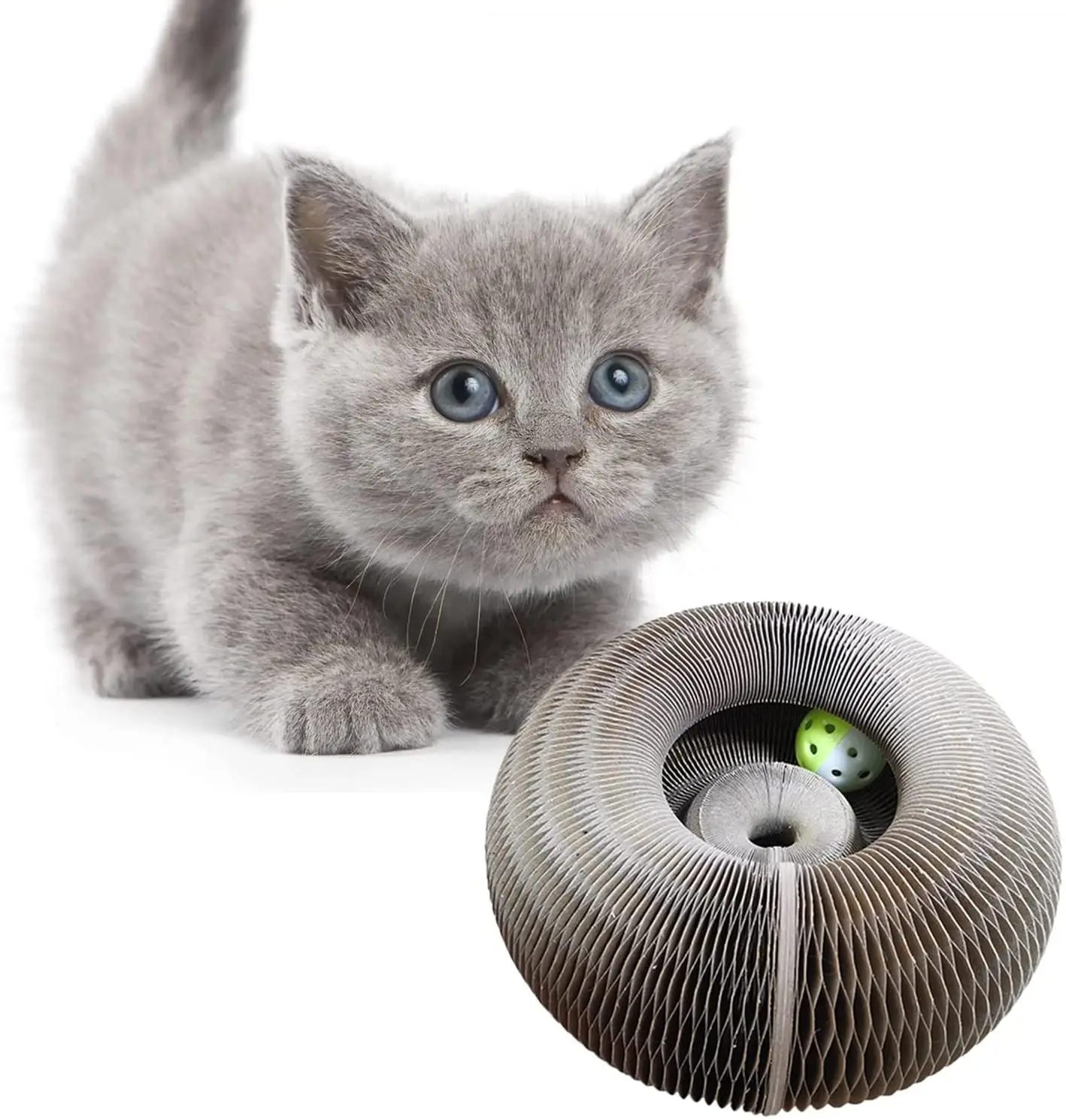 

Magic Organ Cat Scratching Board-Comes with A Toy Bell Ball, Foldable Cardboard Cat Scratcher Convenient Durable Recyclable