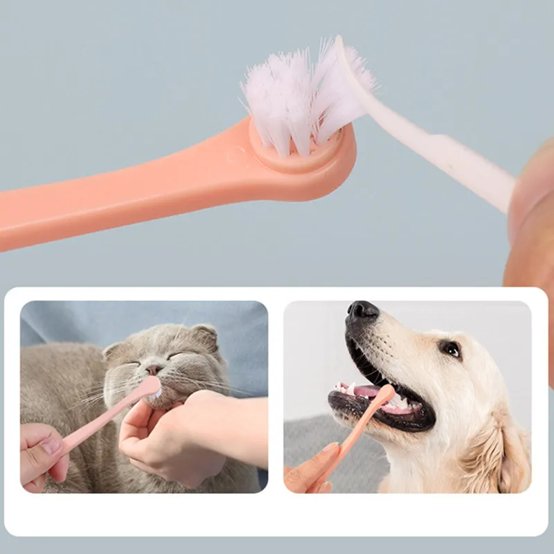 Do Groomers Brush Dogs Teeth