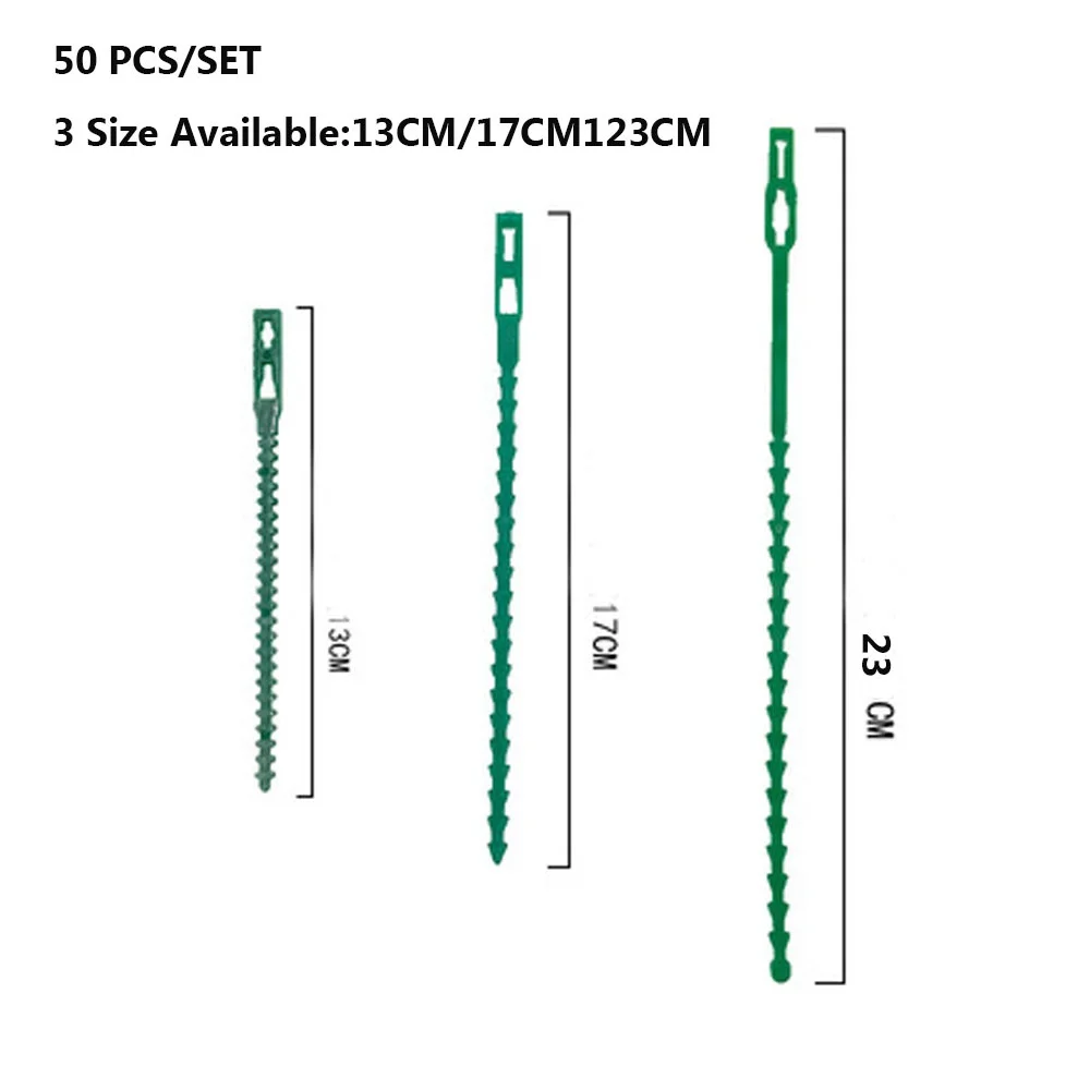 Description Picture 2 of item50 Pcs/set 13cm/17cm/23cm Reusable Garden Plant Fixed Belt Ties Plastic Adjustable Garden Plant Tying Band Tools