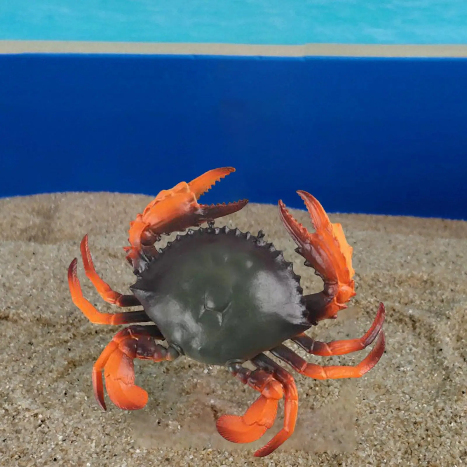 

Simulation Crab Model Toy Educational Animals Model Animal Model Toy Creatures Animal Playset for Boys Girls Kids Birthday Gift