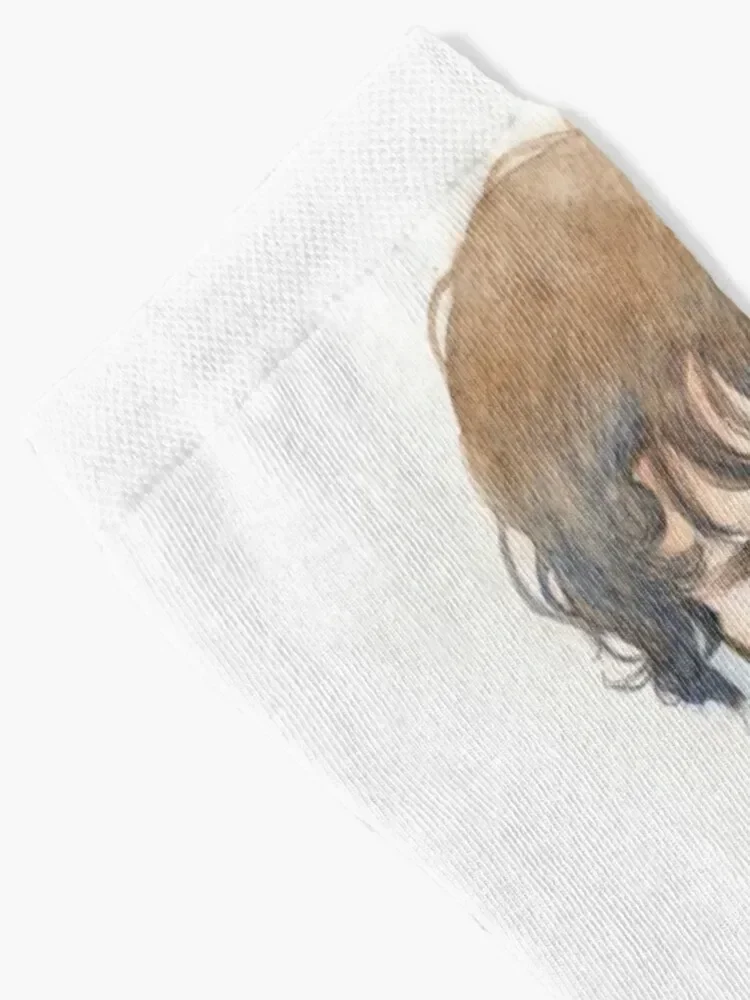 Kaiseki/Hannibal S2E01/Hannigram акварельные носки аниме новогодние прозрачные женские мужские