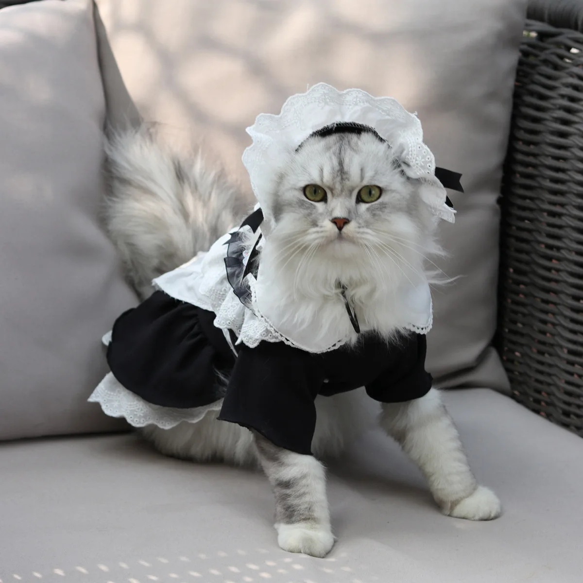 

The Maid Uniform For Cat Costumes Lace Cosplay Cat Dress Women Otaku Lover Costume For Cat Funny Maidservant Uniform With Hat