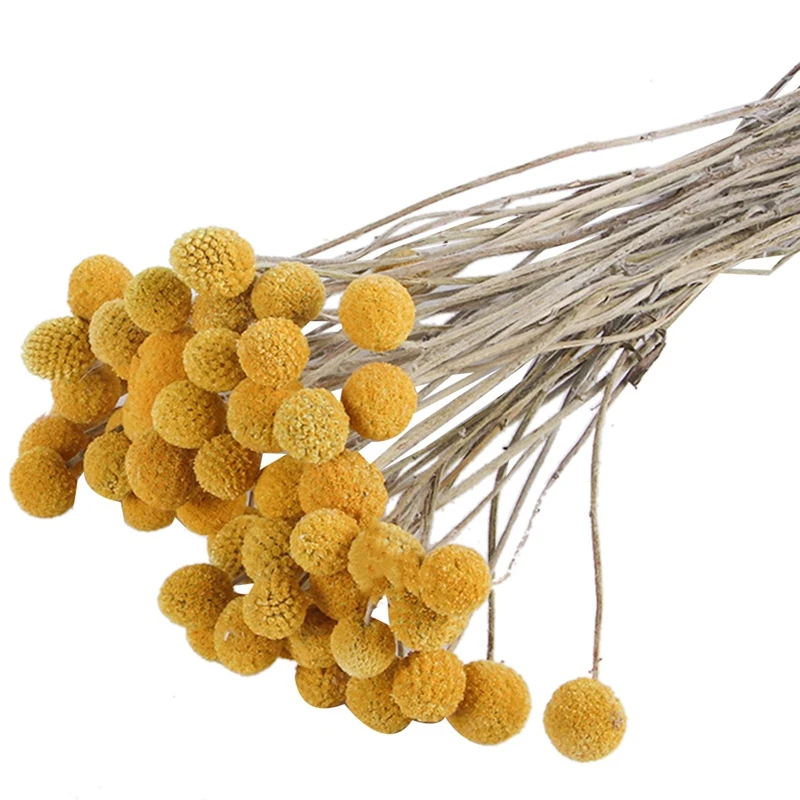 

Украшение для дома, гостиной, Золотые шарики, украшения, сушеные на воздухе цветы