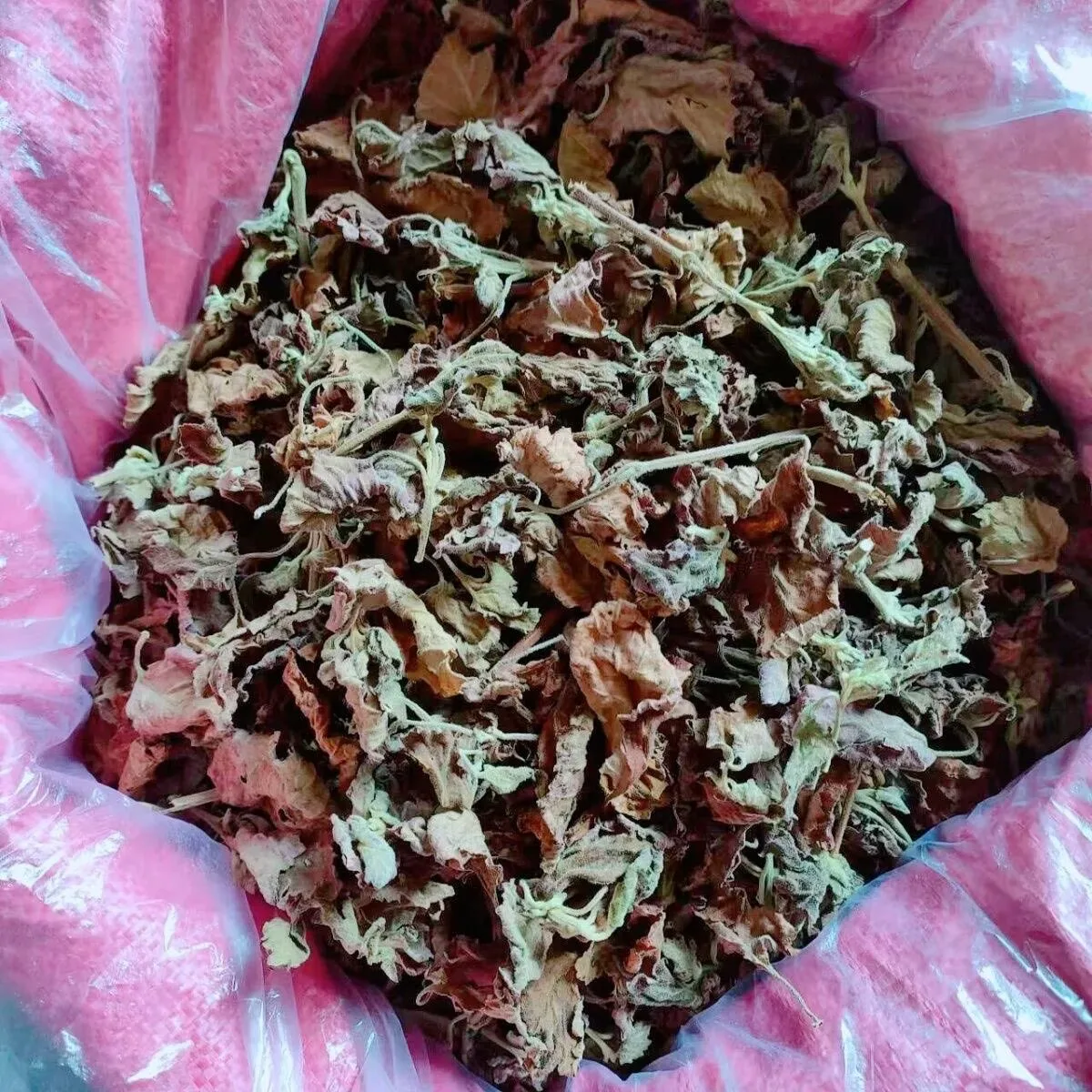 Фото Натуральный сушеный патчули/лист периллы (Pogostemon Cablin) для изготовления мыла, свечей, благовоний, домашней парфюмерии, наполнения саше и подушек. №1