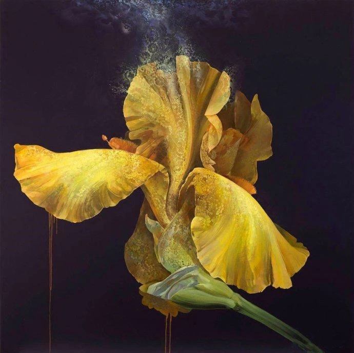 

Алмазная живопись, цветок, 5d, мозаика «сделай сам», полностью квадратная, круглая, алмазная вышивка Стразы, алмазная вышивка, картины