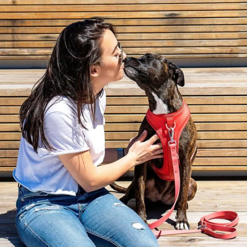 Роскошный комплект шлейки и поводка для домашних питомцев Воздухопроницаемый