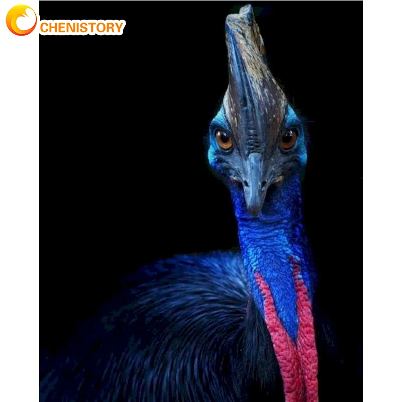 

CHENISTORY DIY Painting By Numbers Kits Ostrich Oil Paint By Numbers Animal Frameless Hand Painting On Canvas Home Wall Art Deco