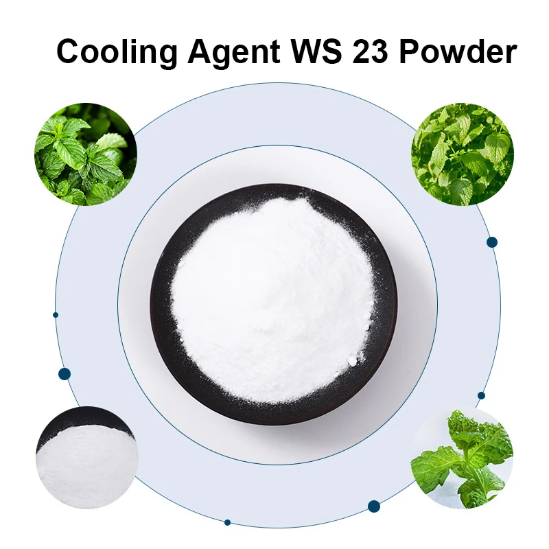HOT Selling WS-23 Powder Cosmetic Raw Material