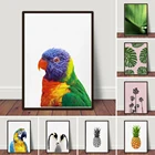 Настенный постер с принтом попугая, Тропическая Птица, Постер для спальни, домашний декор