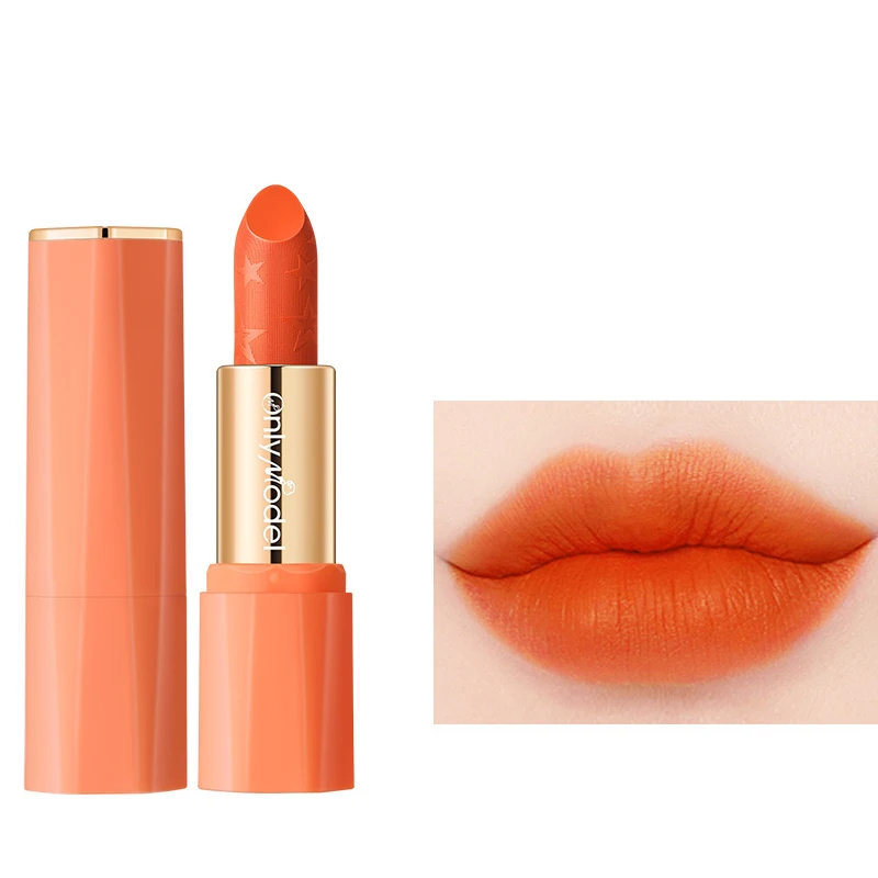 

Orange Lipstick Waterproof Long Lasting Matte Lipsticks Resistant Lip Stick Velvet Lipstick Women Cosmetic Sexy Cute Lip Makeup