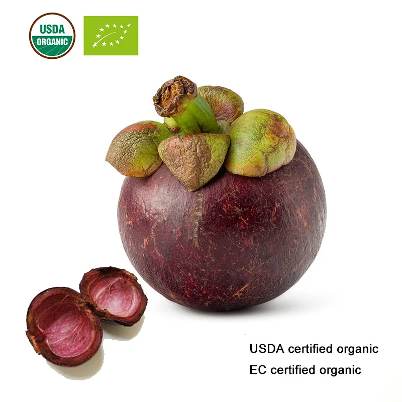 Натуральный высококачественный 100-1000 г экстракт мангостина 10:1 порошок Гарциния